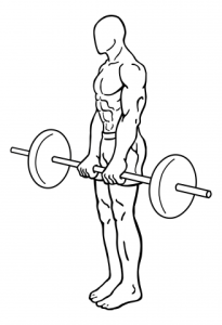 barbell-dead-lifts-medium-1