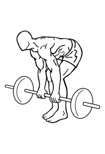 barbell-dead-lifts-medium-2