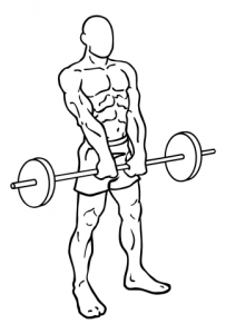 barbell-shrugs-medium-1