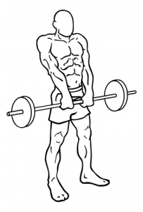 barbell-shrugs-medium-2