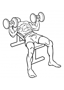 bench-press-dumbbell-medium-2