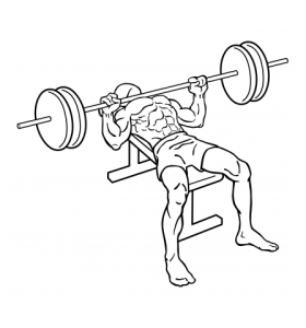 bench-press-medium-1