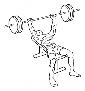 bench-press-medium-2