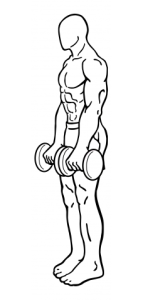 dumbbell-dead-lifts-medium-2