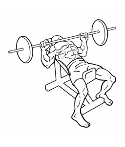 incline-bench-press-medium-1