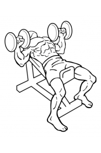 incline-shoulder-press-dumbbell-medium-2