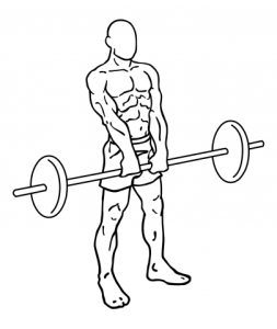 upright-barbell-rows-medium-2